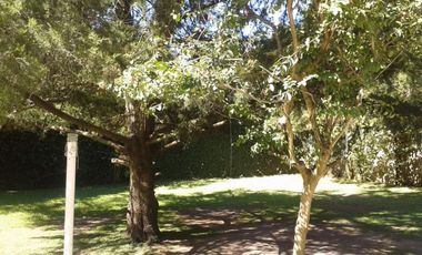 Venta de Casa quinta y 4 Duplex de 2 ambientes con cochera y patio en Parque Leloir