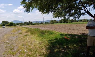 Se vende terreno en Atlixco Puebla La Trinidad Tepango