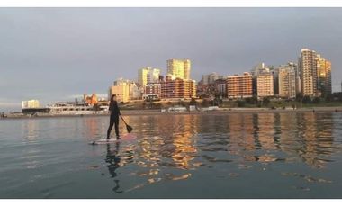 DEPARTAMENTO EN ALQUILER EN MAR DEL PLATA