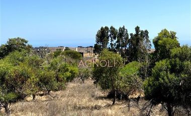 Sitio en Venta en Centinela