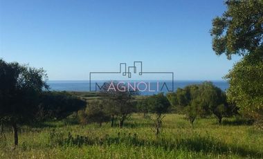 Sitio en Venta en Centinela