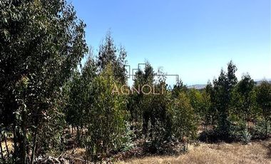 Sitio en Venta en Centinela