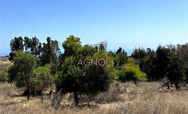 Sitio en Venta en Centinela