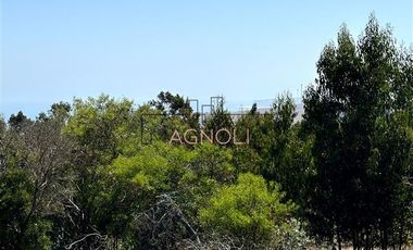 Sitio en Venta en Centinela