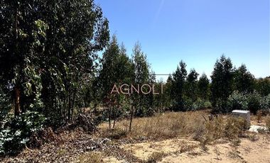 Sitio en Venta en Centinela