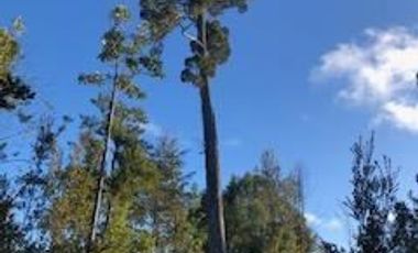 Parcela en Venta en Camino a la Colonia, km 14,3, Puerto Montt