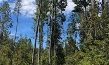 Parcela en Venta en Camino a la Colonia, km 14,3, Puerto Montt