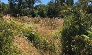 Parcela en Venta en Camino a la Colonia, km 14,3, Puerto Montt