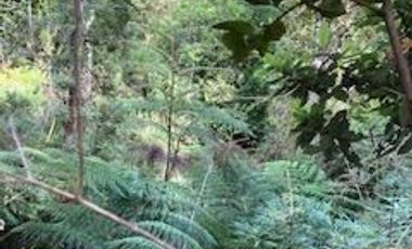 Parcela en Venta en Camino a la Colonia, km 14,3, Puerto Montt