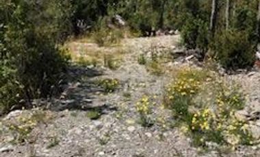 Parcela en Venta en Camino a la Colonia, km 14,3, Puerto Montt