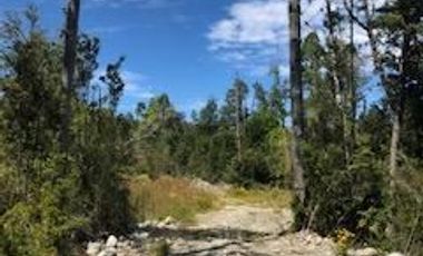 Parcela en Venta en Camino a la Colonia, km 14,3, Puerto Montt