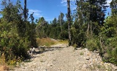 Parcela en Venta en Camino a la Colonia, km 14,3, Puerto Montt