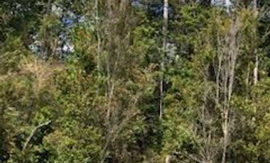 Parcela en Venta en Camino a la Colonia, km 14,3, Puerto Montt