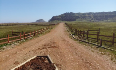 Agrícola en Venta en playa tegualemu