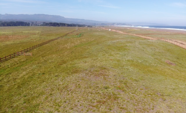 Agrícola en Venta en playa tegualemu