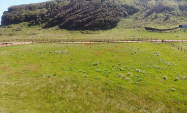 Agrícola en Venta en playa tegualemu