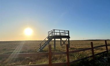 Agrícola en Venta en playa tegualemu