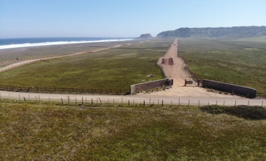 Agrícola en Venta en playa tegualemu
