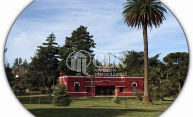ESTANCIA C/ EXCELENTE RENTABILIDAD