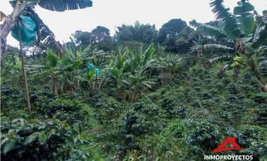 Finca cafetera en la vereda El Chocho, Pereira