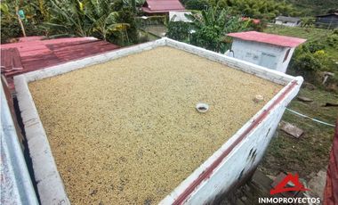 Finca cafetera en la vereda El Chocho, Pereira