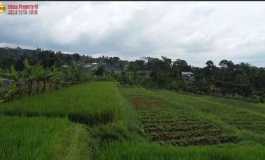 Dijual Tanah Bonus Bangunan Villa - Pasirjaya, Cigombong, Kabupaten Bogor