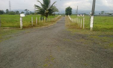 Venta de Hacienda Via Santo Domingo - Quevedo