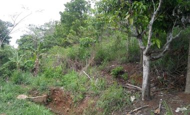 4,5 Ha Tanah Berbukit Dekat Wisata Desa Nagrog, Cicalengka, Bandung Barat.