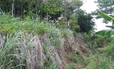 4,5 Ha Tanah Berbukit Dekat Wisata Desa Nagrog, Cicalengka, Bandung Barat.