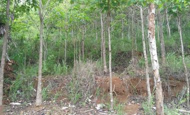 4,5 Ha Tanah Berbukit Dekat Wisata Desa Nagrog, Cicalengka, Bandung Barat.
