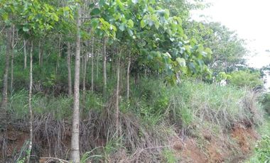 4,5 Ha Tanah Berbukit Dekat Wisata Desa Nagrog, Cicalengka, Bandung Barat.