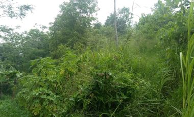 4,5 Ha Tanah Berbukit Dekat Wisata Desa Nagrog, Cicalengka, Bandung Barat.