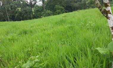 Venta de 17 hectáreas La Alianza -  via Las Mercedes km 14, $. 340000