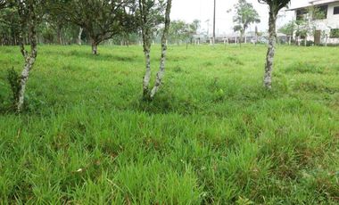 Venta de 17 hectáreas La Alianza -  via Las Mercedes km 14, $. 340000