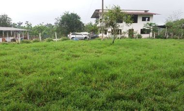 Venta de 17 hectáreas La Alianza -  via Las Mercedes km 14, $. 340000