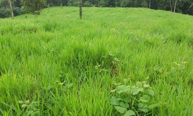 Venta de 17 hectáreas La Alianza -  via Las Mercedes km 14, $. 340000