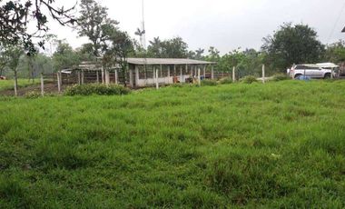 Venta de 17 hectáreas La Alianza -  via Las Mercedes km 14, $. 340000