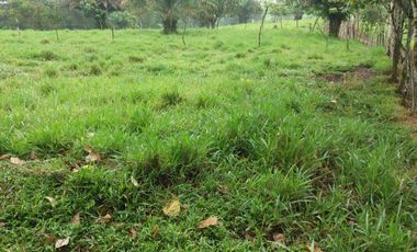 Venta de 17 hectáreas La Alianza -  via Las Mercedes km 14, $. 340000