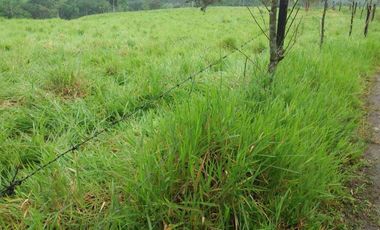 Venta de 17 hectáreas La Alianza -  via Las Mercedes km 14, $. 340000