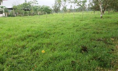 Venta de 17 hectáreas La Alianza -  via Las Mercedes km 14, $. 340000