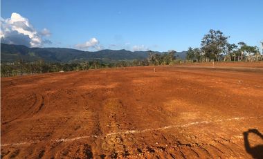 Lotes de Terreno en Venta - Tarapoto