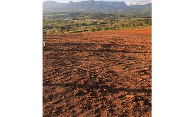 Lotes de Terreno en Venta - Tarapoto