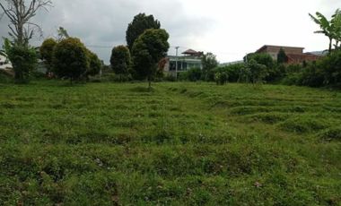 Tanah Kebun di Jayagiri Lembang Bandung Barat