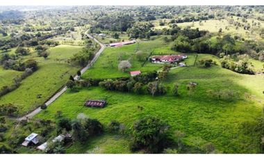 VENDO FINCA DE 22 HECTAREAS CON HERMOSA CASA BUGABA