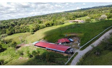 VENDO FINCA DE 22 HECTAREAS CON HERMOSA CASA BUGABA