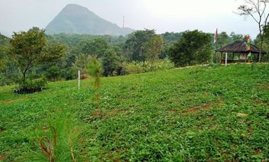Pesona Villa Sukaharja Bogor Timur Kavling Kebun Profuktif