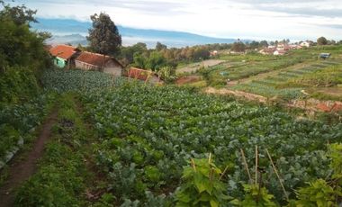 258,5 Tumbak Tanah Strategis Buat Cluster / Villa di Desa Jambudipa, Cisarua, Bandung Barat