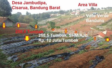 258,5 Tumbak Tanah Strategis Buat Cluster / Villa di Desa Jambudipa, Cisarua, Bandung Barat