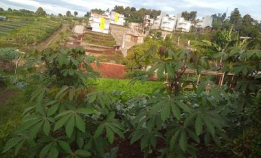 258,5 Tumbak Tanah Strategis Buat Cluster / Villa di Desa Jambudipa, Cisarua, Bandung Barat
