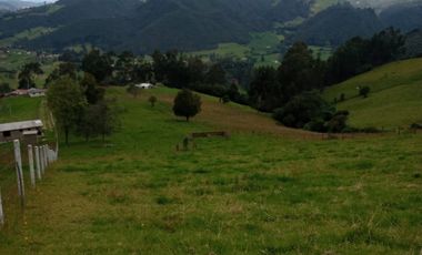 finca en venta en la aurora. Cod V1801